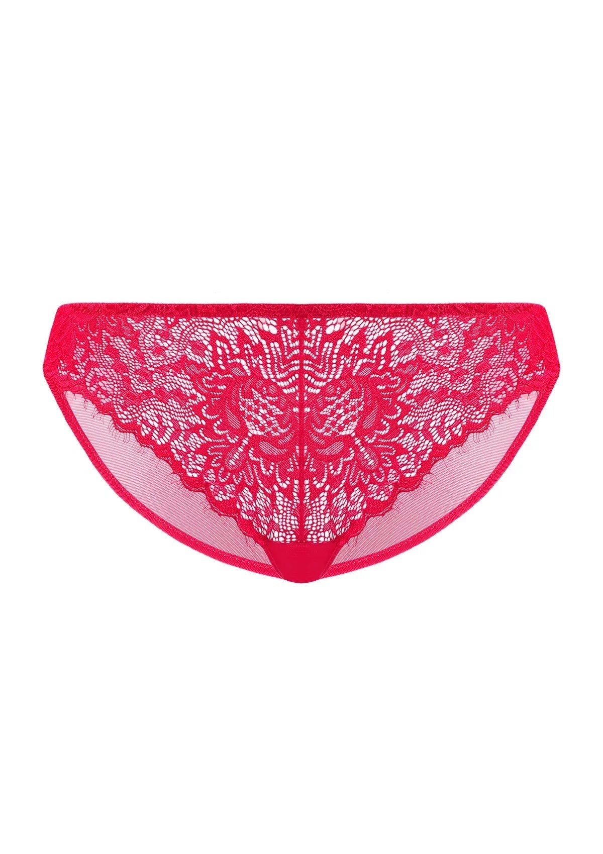 HSIA Sunflower Exquisite Raspberry Lace Bikini Underwear