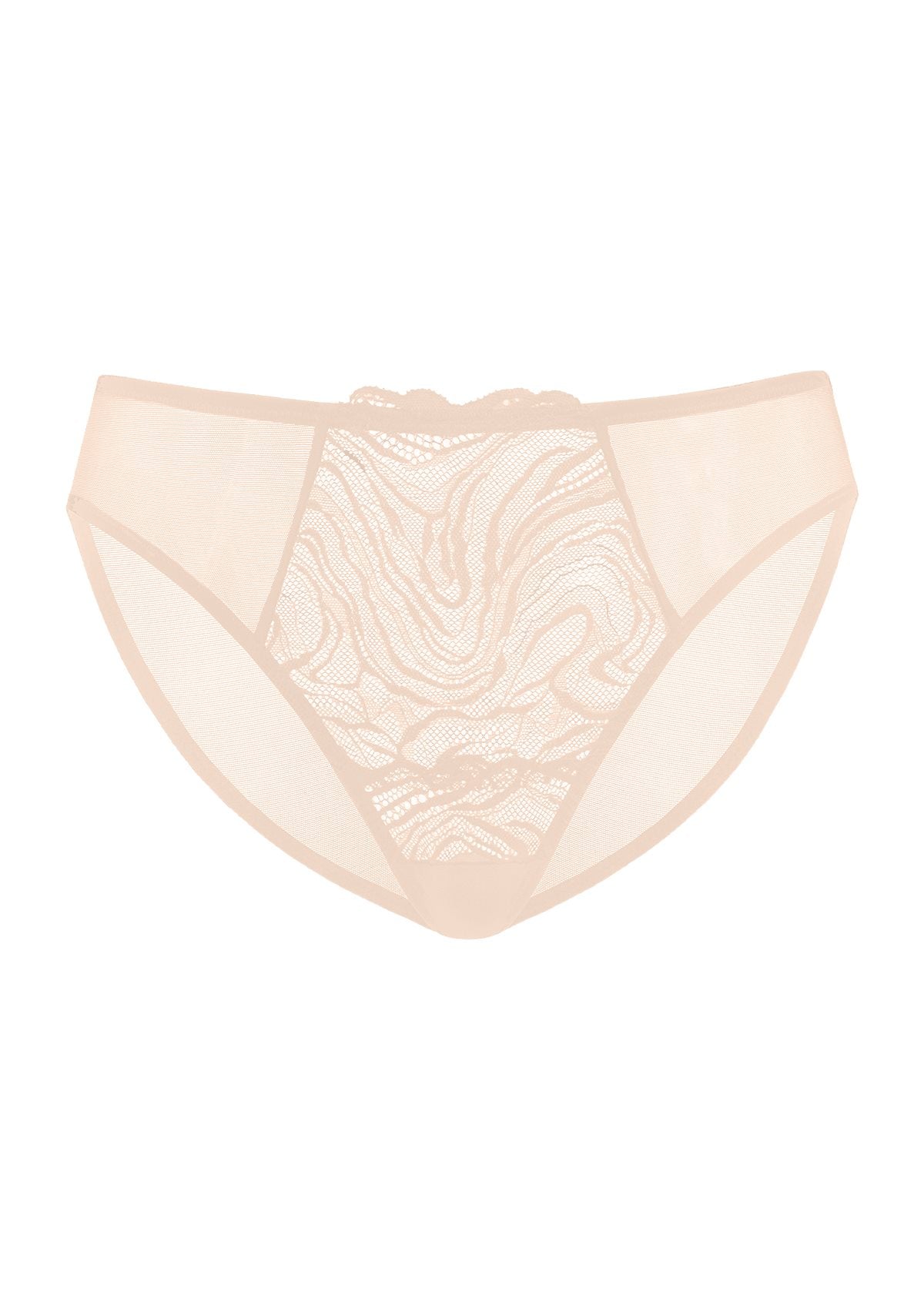 Serenata Floral High-Rise Sheer Mesh Lace Bikini Undewear