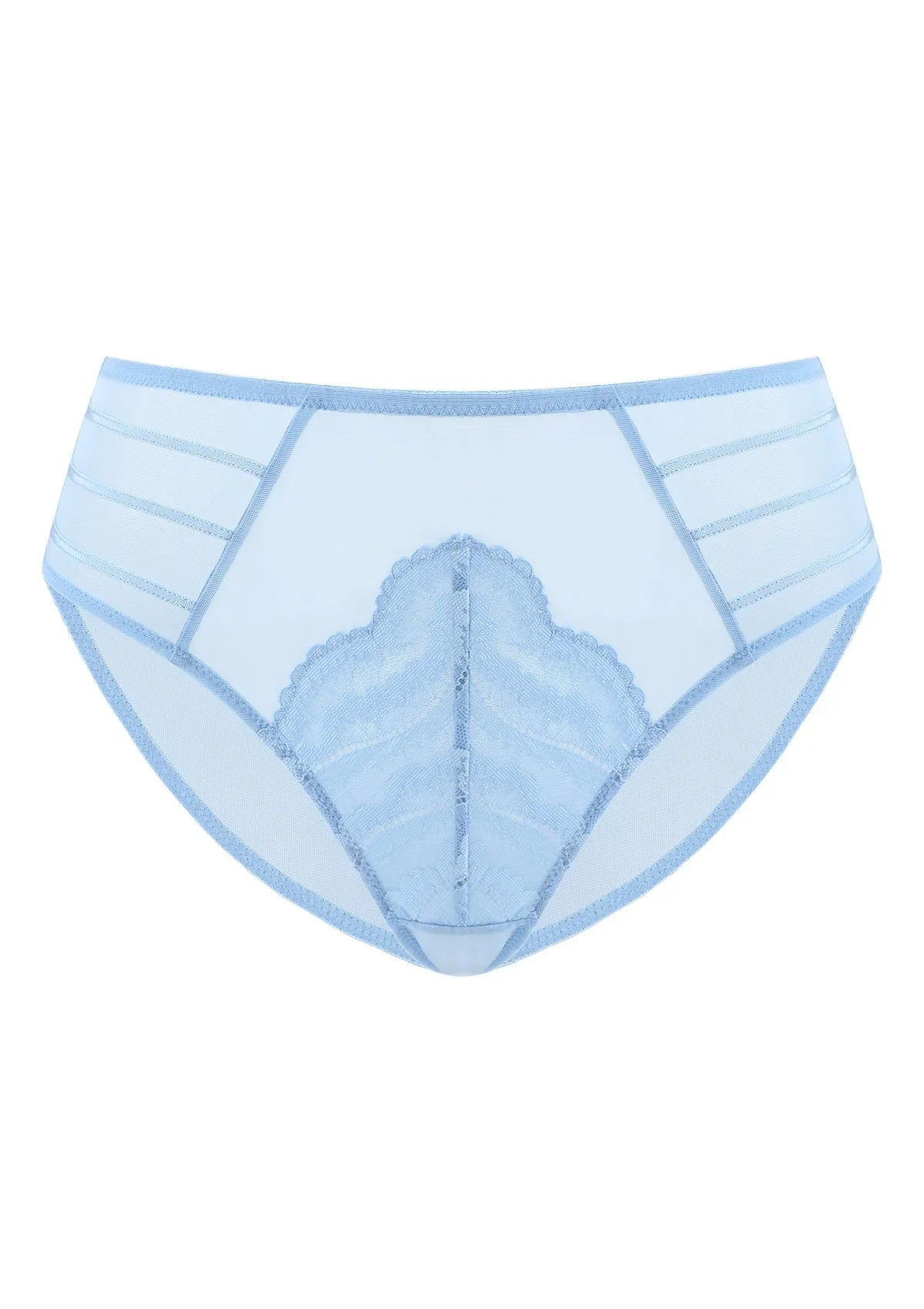 Aqua Passion High-Rise Lace Brief Underwear