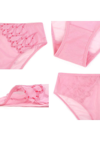Winter Sonata Embroidered High-Rise Sheer Mesh Lace Bikini Undewear