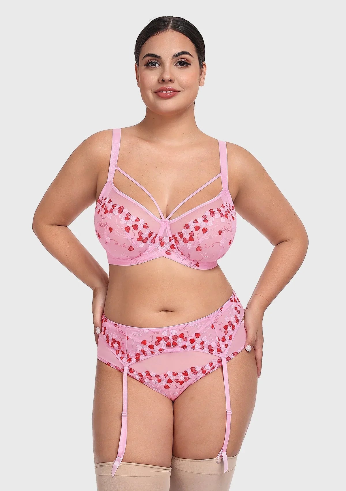 HSIA Renna Holiday Edit Embroidery Pink Lace Underwire Bra