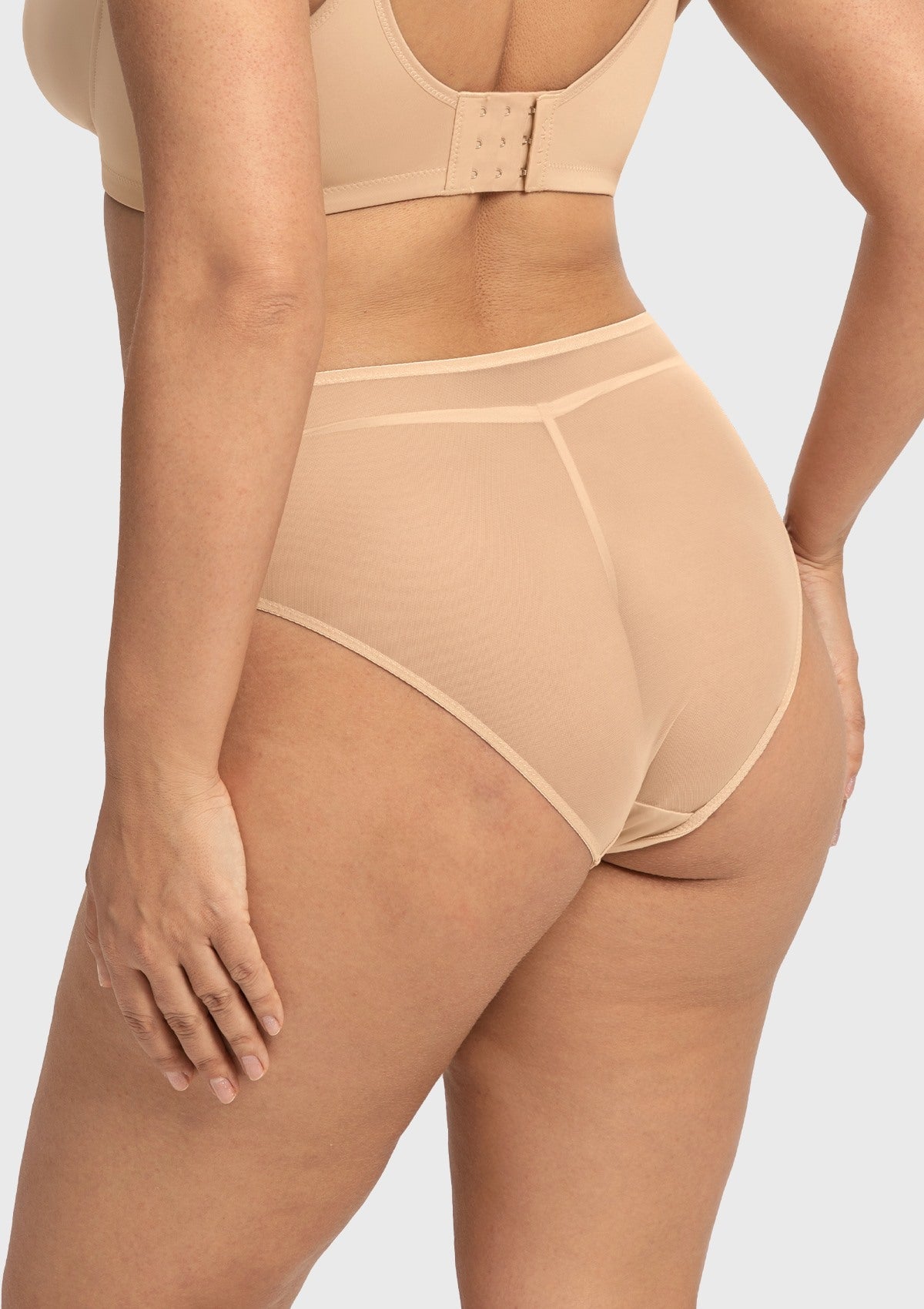Dahlia Elegant Embroidered Lace High Waist Panty