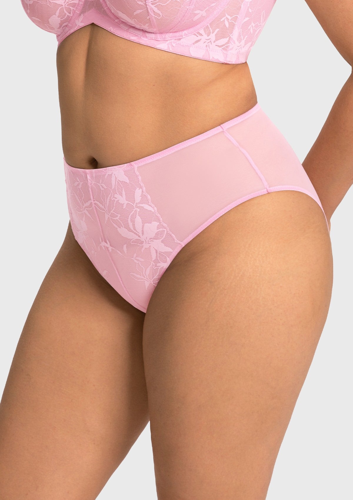 HSIA Petalia Sexy Elegant Lace High Waist Panty
