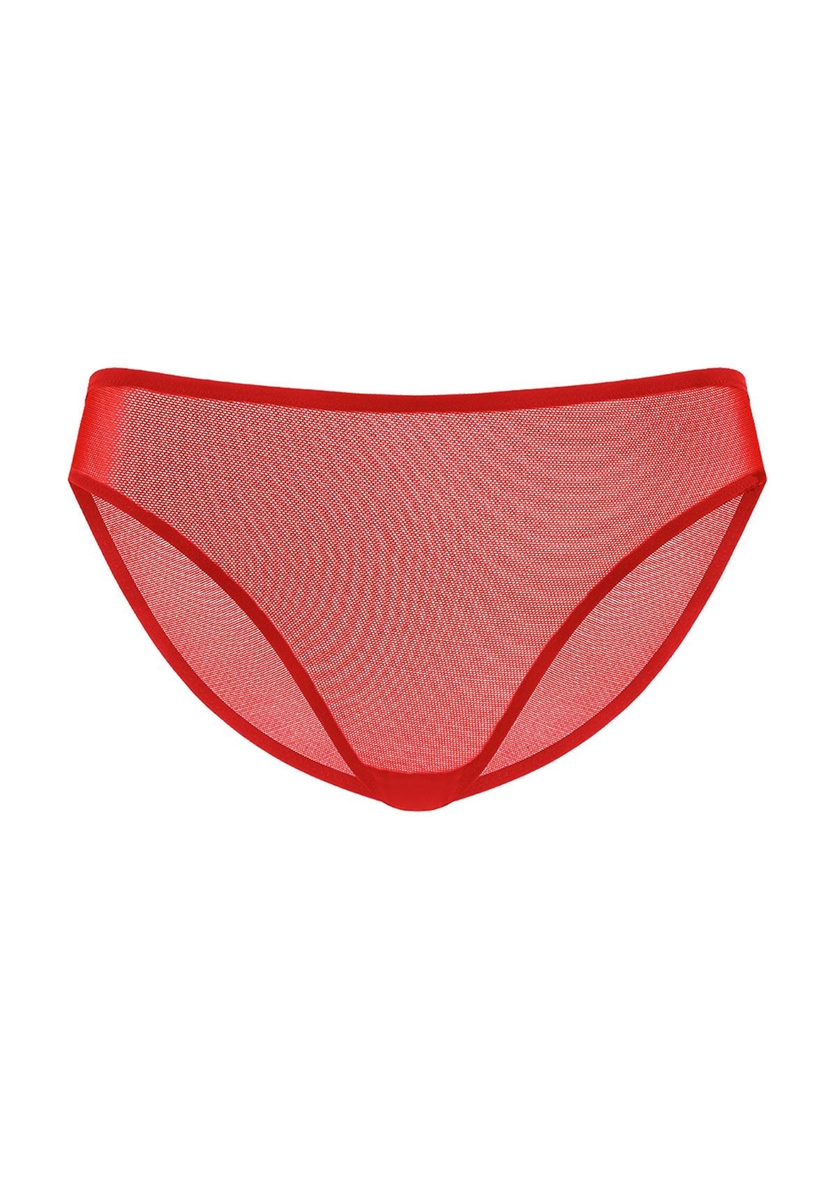 Seraphina Smooth Sheer Mesh Bikini Underwear