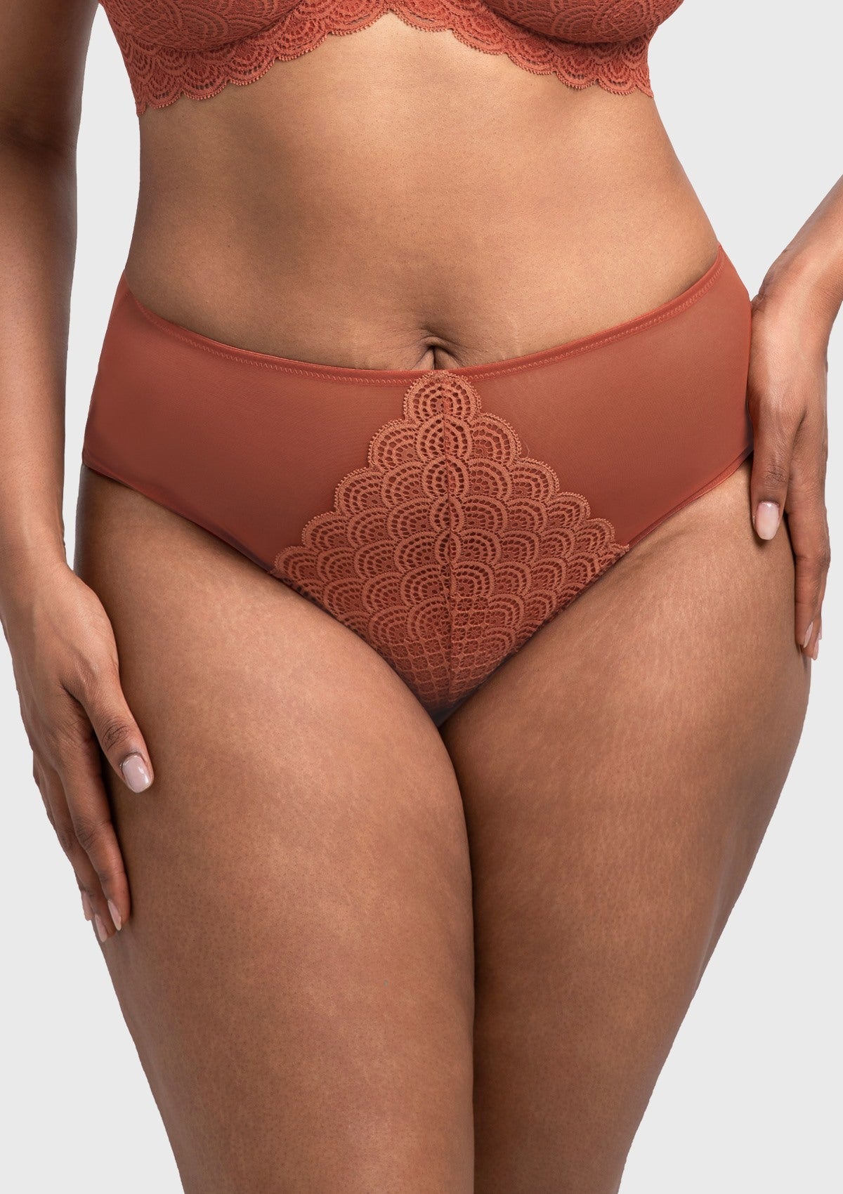 Mermaid High-Rise Lace Brief Underwear